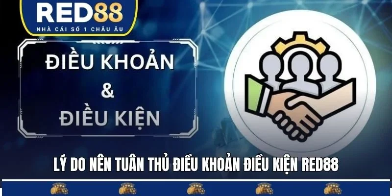 Lý do nên tuân thủ điều khoản điều kiện RED88