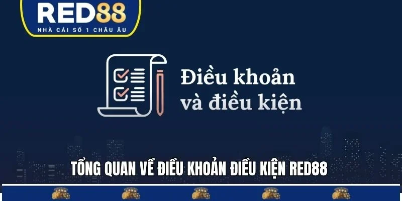 Tổng quan về quy định điều khoản điều kiện RED88